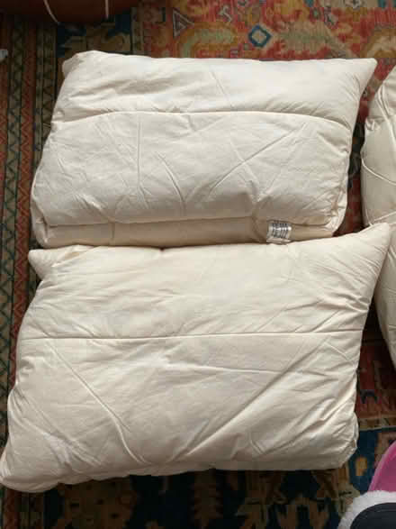 Photo of free Ercol Seat & arm cushion inners (Worcester Park KT4) #1