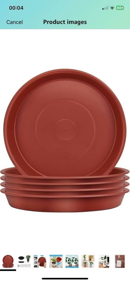 Photo of plant saucer drip trays (Royston) #1
