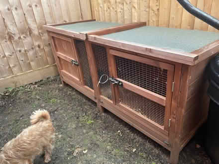 Photo of free Guinea pig / rabbit hutch (Gosfield CO9) #2