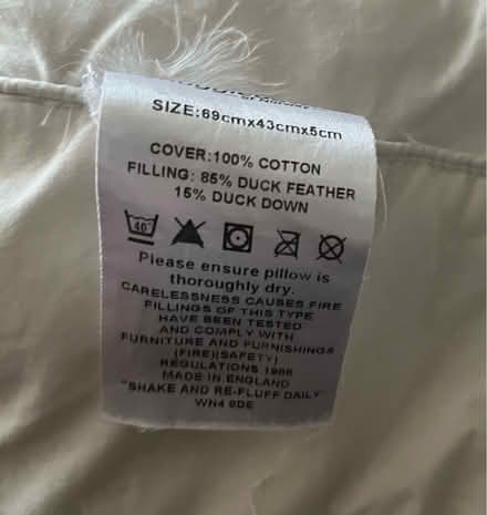 Photo of free 2x duck feather pillows (Angel N1) #3