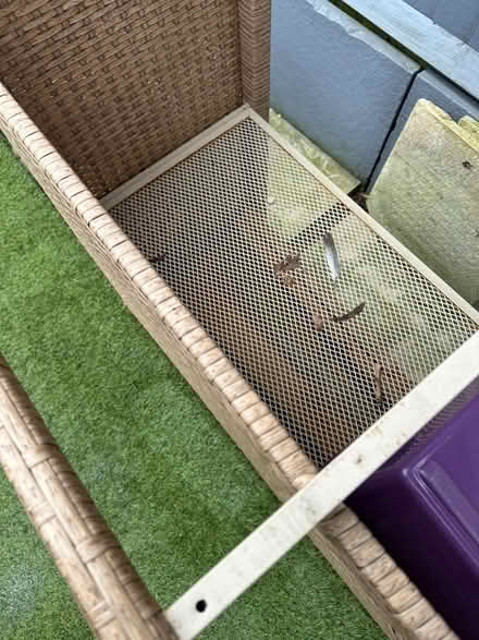 Photo of free Garden bar (Cold Harbour OX1) #3