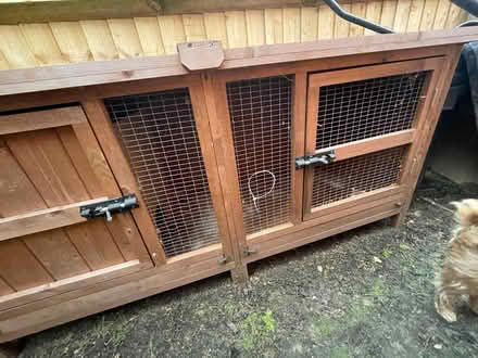 Photo of free Guinea pig / rabbit hutch (Gosfield CO9) #4