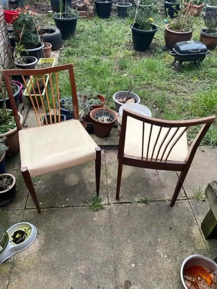 Photo of free Dining chairs (Horfield Bristol) #3