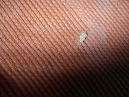 Photo of free underlay (Waverton CH3) #3