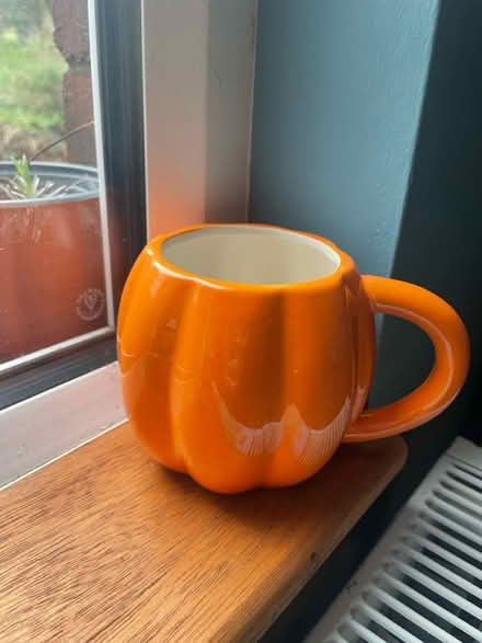 Photo of free pumpkin mug (S6 Walkley) #1