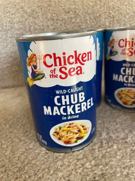Photo of free canned makerel, past sell by date (Sunnyvale, near Mary & Evelyn) #1
