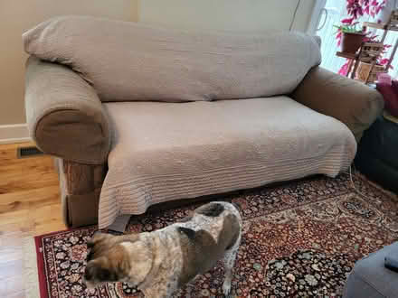 Photo of free Feather Stuffed Couch (Carlington) #4