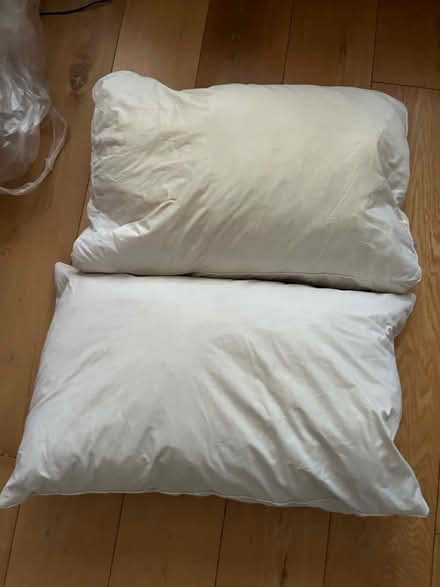Photo of free 2x duck feather pillows (Angel N1) #1