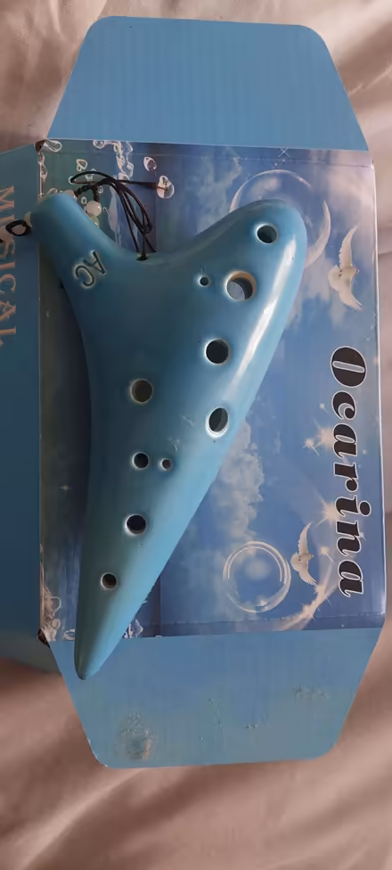Photo of free Ocarina musical instrument (Lower Weston) #1