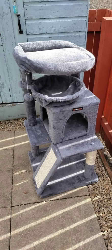 Photo of free Cat Tree (Bishopton PA7) #1