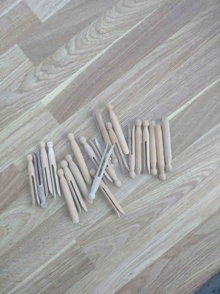 Photo of free 20 Dolly pegs (Alresford CO7) #1
