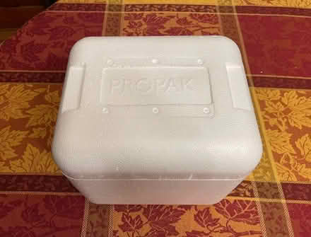 Photo of free Small Styrofoam boxes (Wallingford) #1