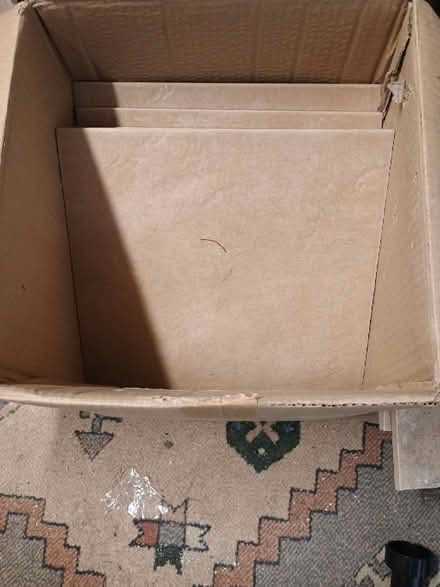 Photo of free Tiles (PE3 9NG) #1