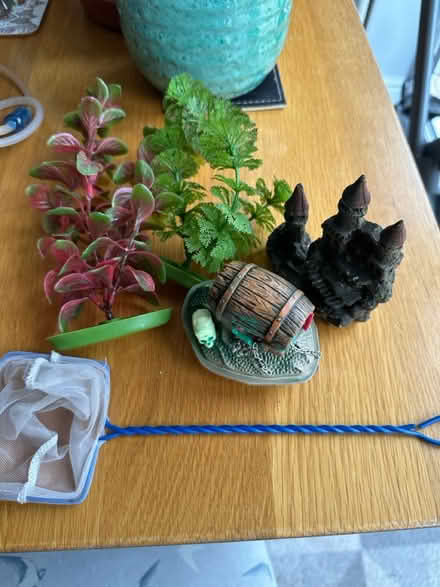Photo of free Indoor fish tank accessories (Redhill) #4