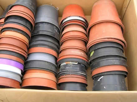 Photo of free About 80 plastic plant pots (Rowlands Castle PO9) #1