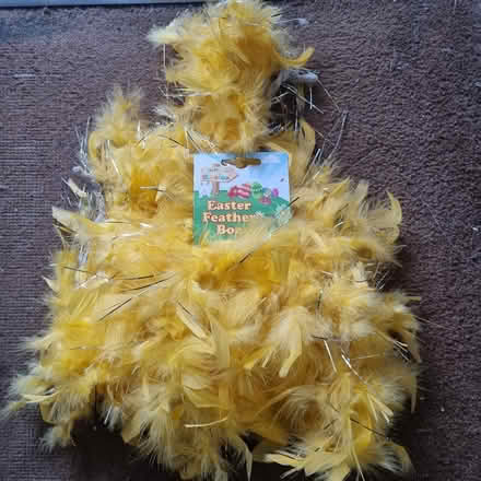 Photo of free 2 x Easter/yellow feather boas (Hanworth TW13) #1