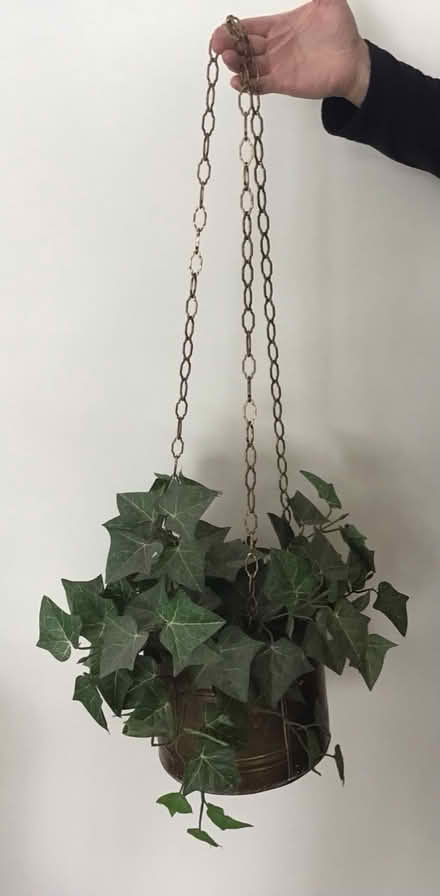 Photo of free Artificial plant (Alta Vista) #1