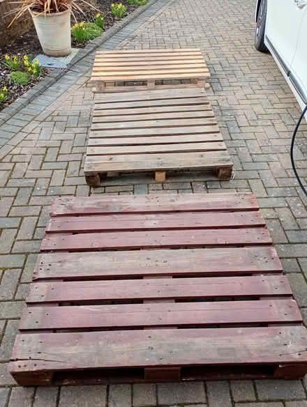 Photo of free Pallets (Patcham BN1) #1
