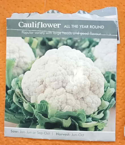 Photo of free 3 Varieties Of Vegetable Seeds (Bordesley, Redditch B97) #4