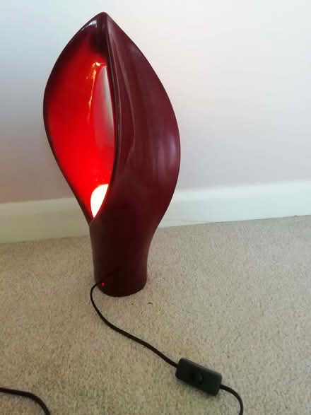 Photo of free Lamp (Wallands Park BN7) #3