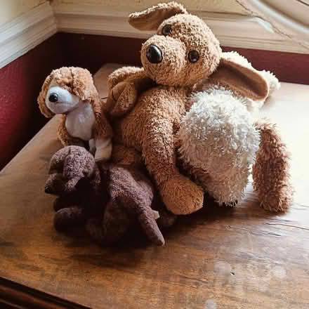Photo of free 4 stuffed toy dogs (East Finchley N2) #1