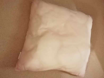 Photo of free Cushion filling (Wallands Park BN7) #1