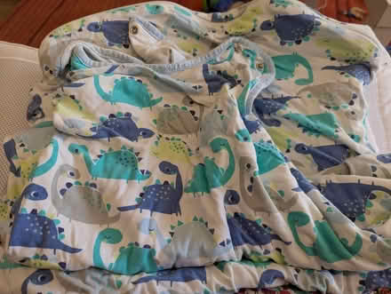 Photo of free Baby bundle - muslins, Two gro bags and mesh cot bumper (Surbiton KT5) #2