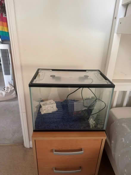 Photo of free Fish tank (Totton) #1