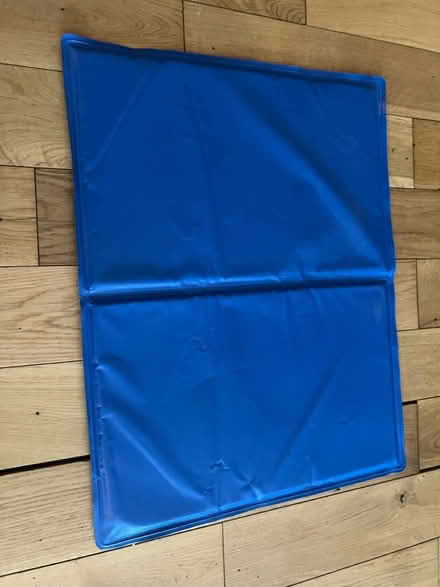 Photo of free Dog cooling pad (St John’s Wood NW8) #1