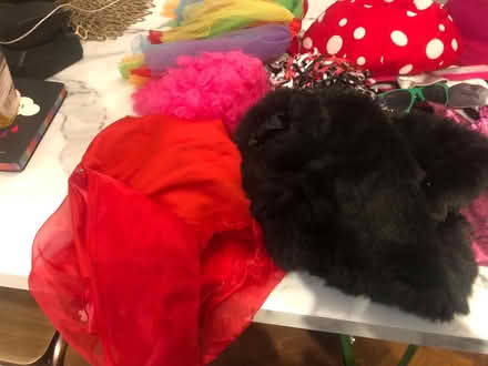 Photo of free Kids Dressing Up Items (BR3) #4