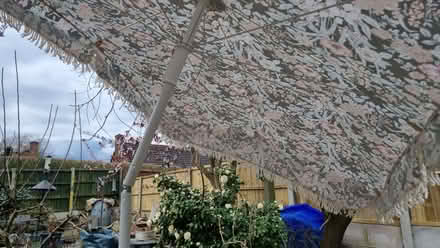 Photo of free Sun parasol (Stockton Heath WA4) #2