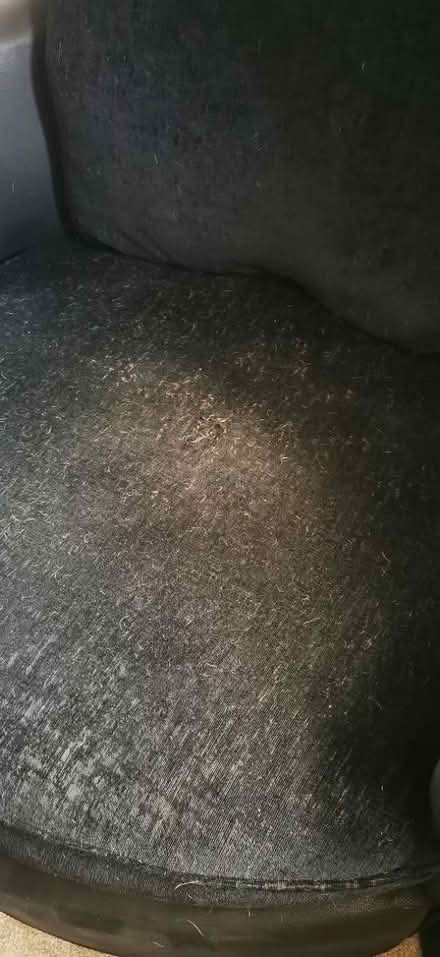 Photo of free Black cuddle sofa (IP1) #2