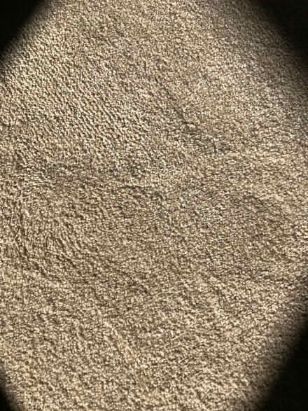 Photo of free Brand new carpet remnants (CO11) #2