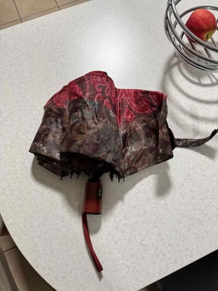 Photo of free Umbrella (Letchworth SG6) #1