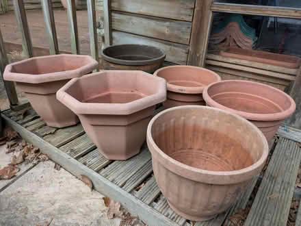Photo of free Flower pots (Ascot) #1