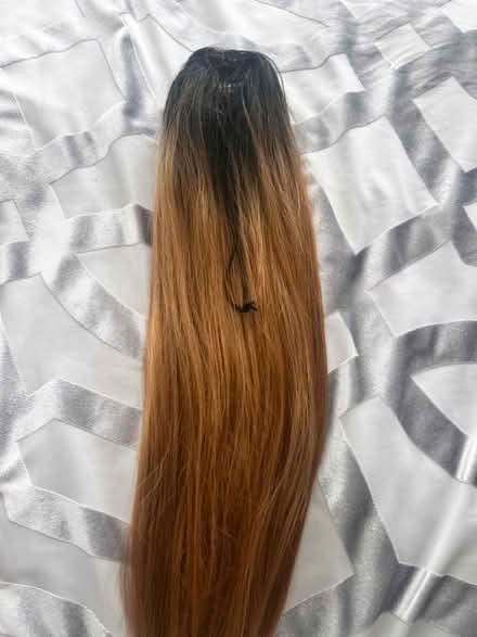 Photo of free Synthetic ponytail (SW2) #2