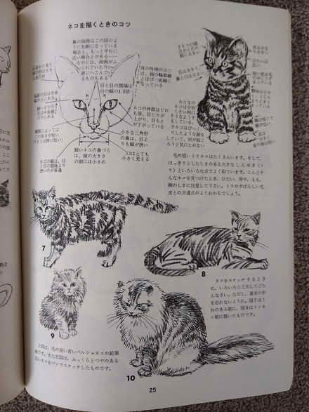 Photo of free How to Draw Animals By Jack Hamm (in Japanese) (Kenilworth CV8) #3