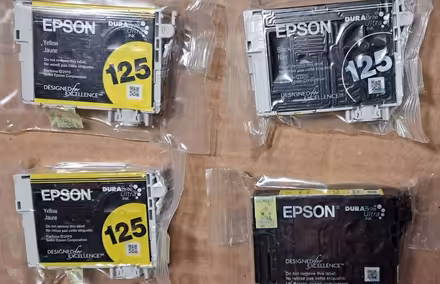 Photo of free Epson Printer Ink Cartridges (Green Run Lynnhaven/Holland) #1