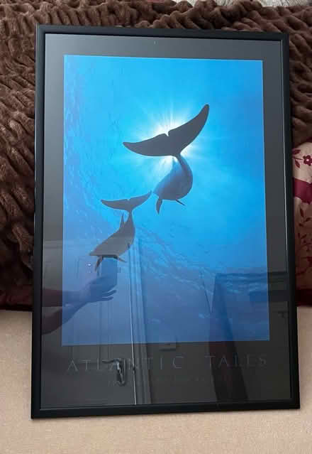 Photo of free Classic Athena Print Atlantic Tales (Langstone) #1