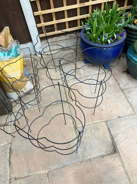 Photo of free 5 x Garden Plant Supports (Basildon SS14) #1