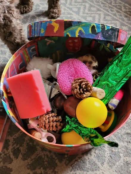 Photo of free Box of tactile play objects (Thorpe Hamlet NR1) #2