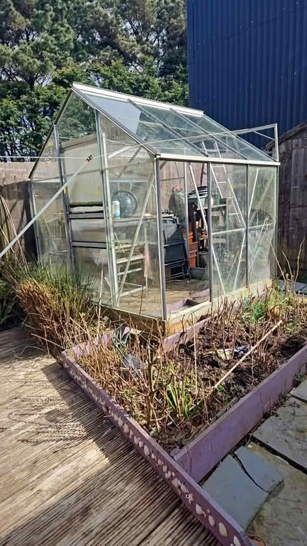 Photo of free Glass greenhouse (camborne cornwall) #2