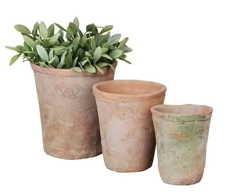 Photo of Terracotta plant pots (Lower Weston) #1