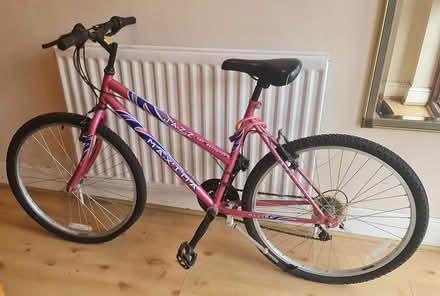 Photo of free older girl / womem's bike (Boston Manor, W7) #1