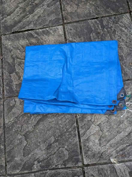 Photo of free Blue plastic sheet (Ascot) #1