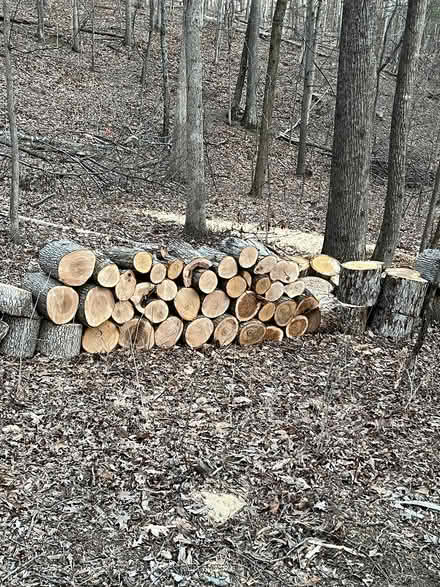 Photo of free Wood rounds to split into firewood (Warrenton near Staples) #1