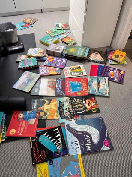 Photo of free Childrens book shelf and books (TW9) #2