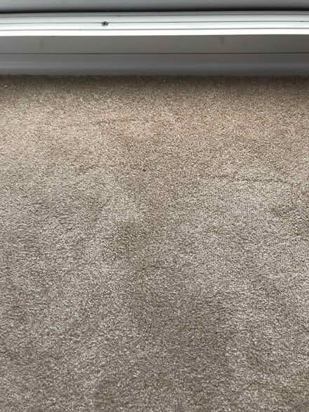 Photo of free Brand new carpet remnants (CO11) #1