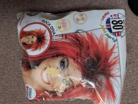Photo of free Fancy dress items (Maiden Erlegh Nature Reserve RG6) #2