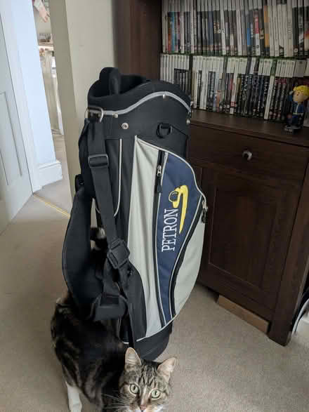 Photo of free Golf bag 8 way Divide (Minchinhampton GL6) #2